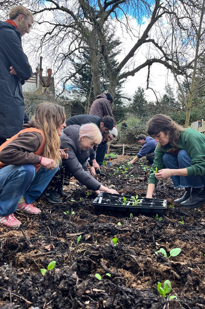 Community Garden at The Grove, London